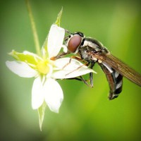 /album/ecologia-vive-/photolia-a02-jpg/