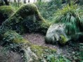 /album/fotogaleria/images-jpg/